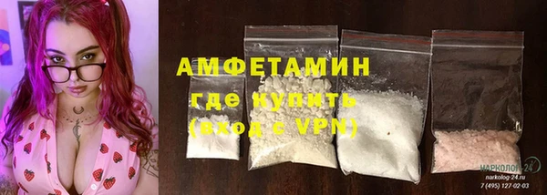 прущие грибы Абинск