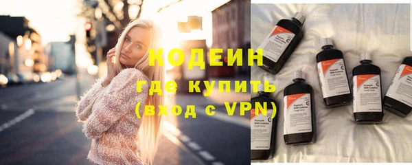 прущие грибы Абинск