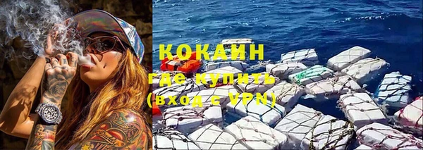 прущие грибы Абинск