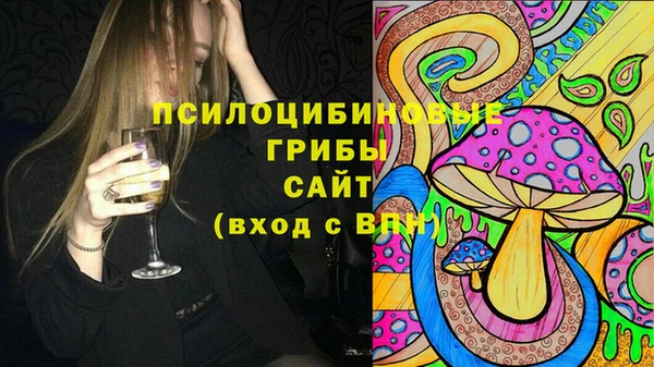 первитин Алексин